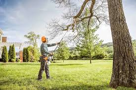 Best Tree Risk Assessment  in Washington Park, FL